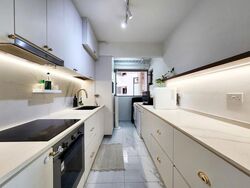Blk 476B Hougang Capeview (Hougang), HDB 4 Rooms #633747961